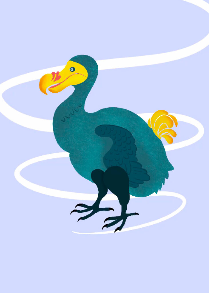 Illustration Dodo Dessin Procreate Evolution - étape