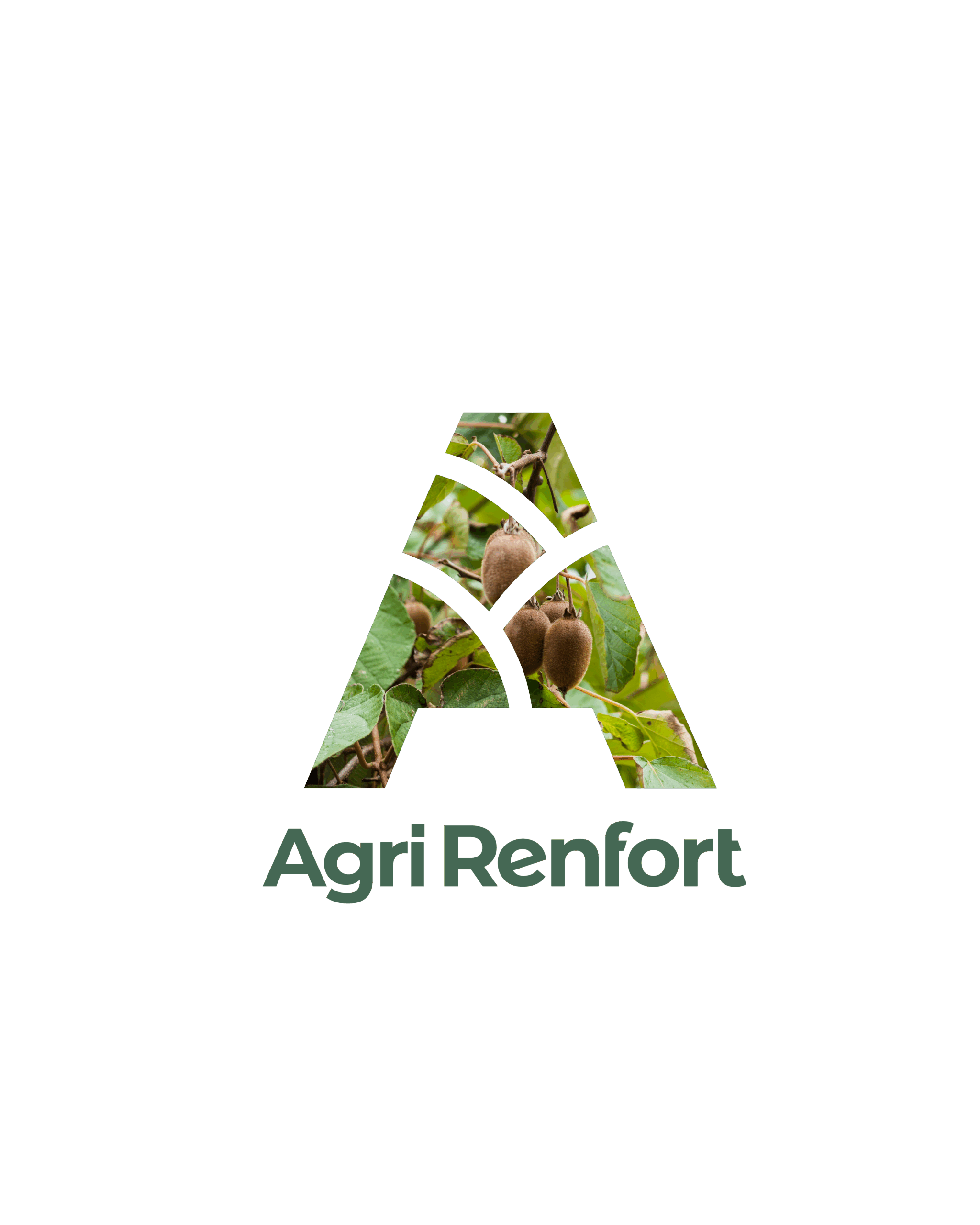 Agriculture Environnement Inclusion Logo Identité Visuelle